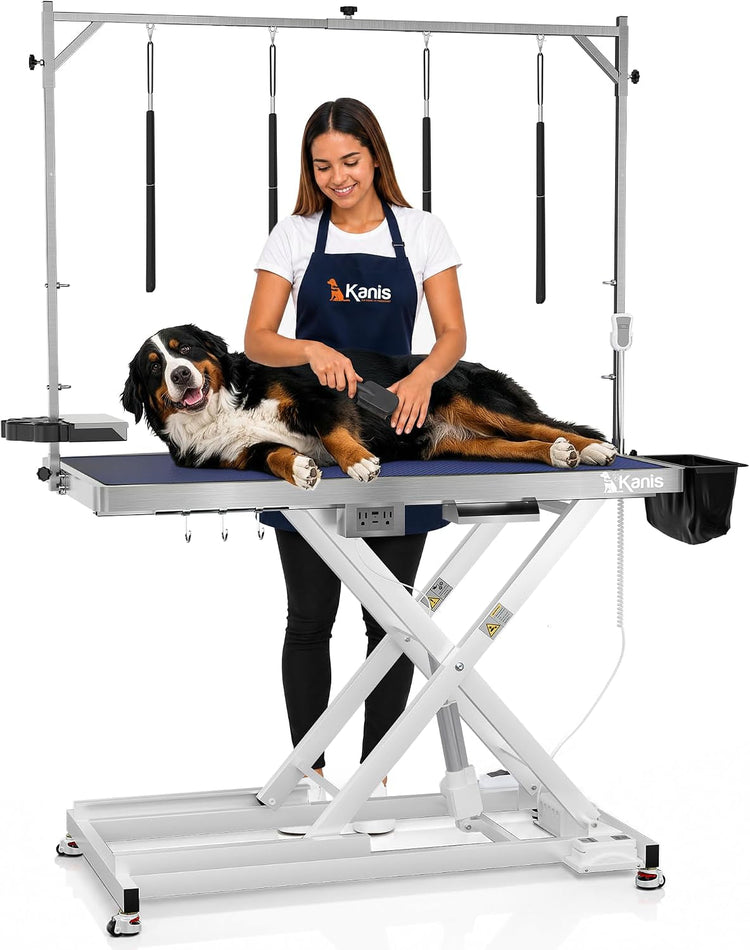 Professional Electric Dog Grooming Table - Heavy Duty