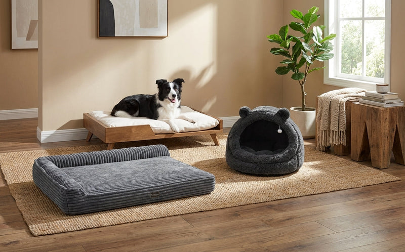 Dog Beds