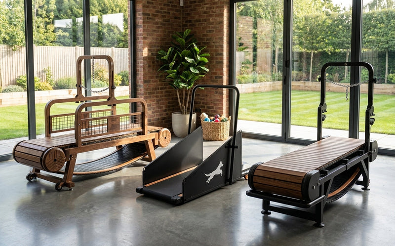 Dog Treadmills