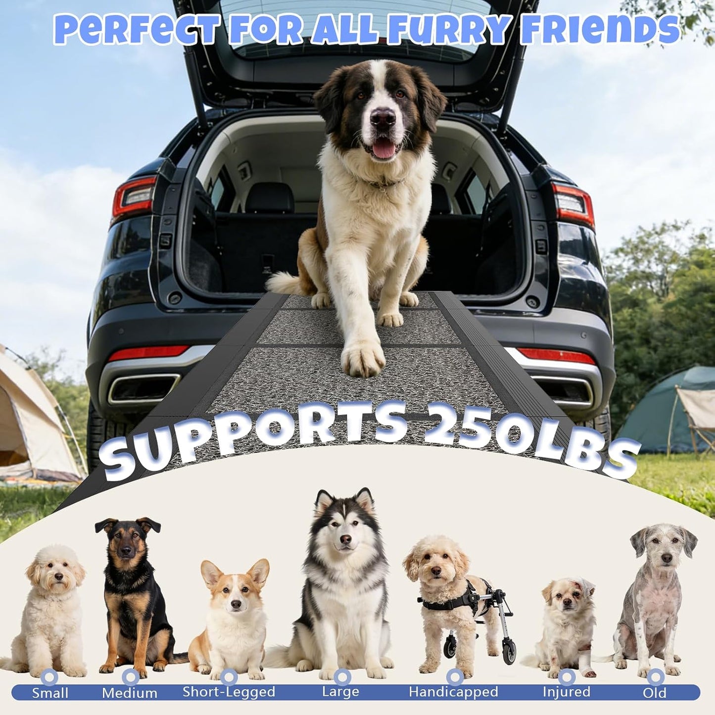 Dog Ramp for Car 63" X 20", Folding Pet Ramp for Large Dogs with Non-Slip Rug Surface, Portable Dog Car Ramp for SUV Car & Truck