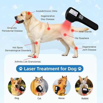 Cold Laser Therapy Device for Dogs, with 4 Wavelengths and Touch Screen