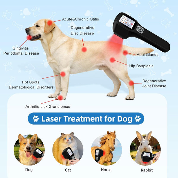 Precision Cold Laser Therapy Device for Dogs | Four Wavelengths & Touchscreen Control