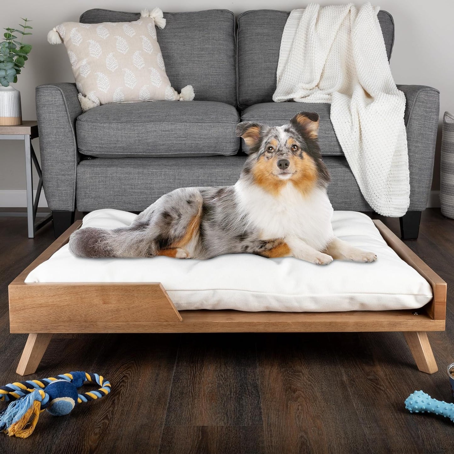 Elevated Dog Bed - 36” X 29.5” Indoor Pet Bed with Frame and Soft Cushion - Mid-Century Modern Wood Dog Bed for Medium to Large Pets by  (Natural)