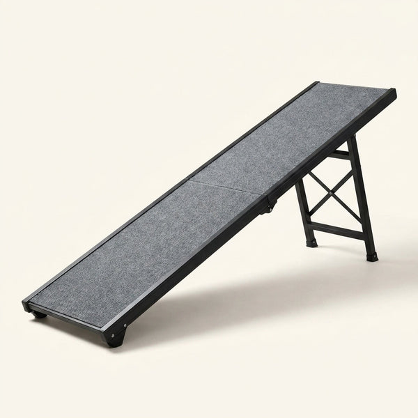 Dog Ramp for Cars, 71" L × 17.2" W, Extra-Long Foldable | Extra-Long for a Gentler Climb, Non-Slip Rug Surface, 250-Lb Capacity, Space-Saving Storage, Stable Support — Studio Shot