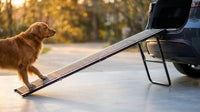 Dog Ramp for Cars, 71" L × 17.2" W, Extra-Long Foldable | Extra-Long for a Gentler Climb, Non-Slip Rug Surface, 250-Lb Capacity, Space-Saving Storage, Stable Support — Lifestyle