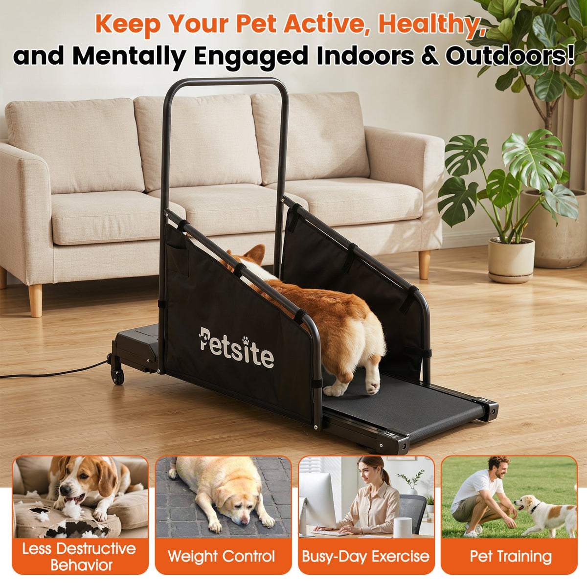 Dog Treadmill with Remote & LCD Display | Recommended Pet Weight Up to 130 lbs