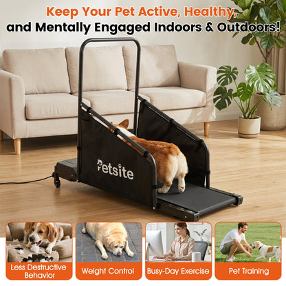 Dog Treadmill with Remote & LCD Display | Recommended Pet Weight Up to 130 lbs