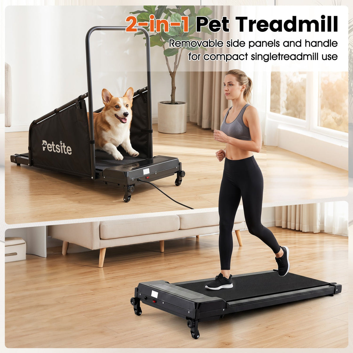 Dog Treadmill with Remote & LCD Display | Recommended Pet Weight Up to 130 lbs
