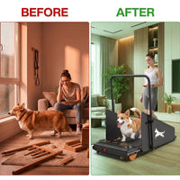 Pet Dog Treadmill Portable Exercise Treadmill Running Machine for Small and Medium Dog Breeds — Before & After