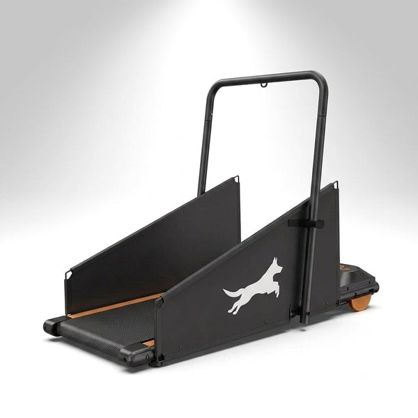 Pet Dog Treadmill Portable Exercise Treadmill Running Machine for Small and Medium Dog Breeds — Studio Shot