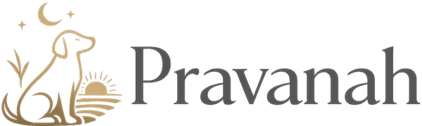 Pravanah