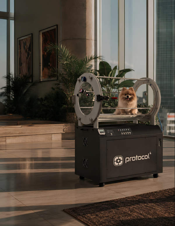 Hyperbaric Chamber for Small Pets