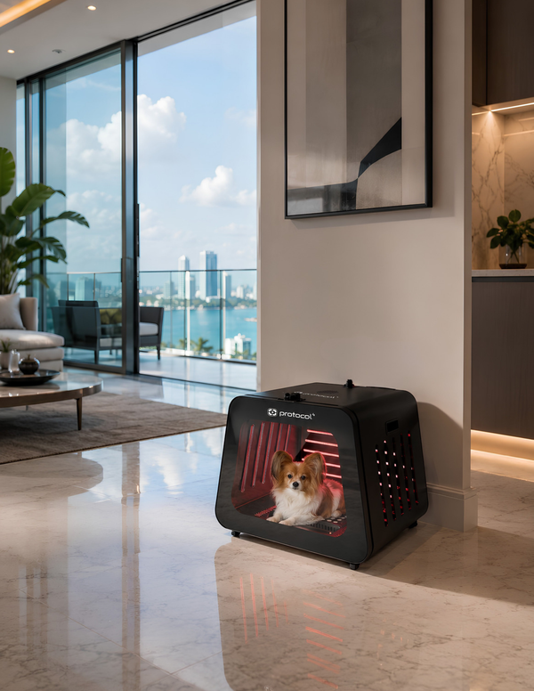 Red & Near-Infrared Light Capsule for Small Pets