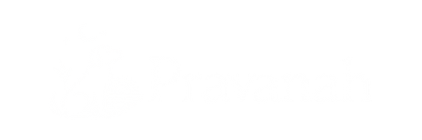 Store Logo (White)