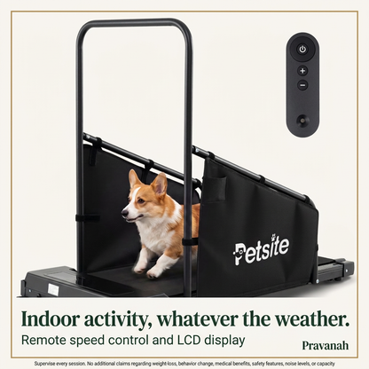 Dog Treadmill with Remote & LCD Display | Recommended Pet Weight Up to 130 lbs