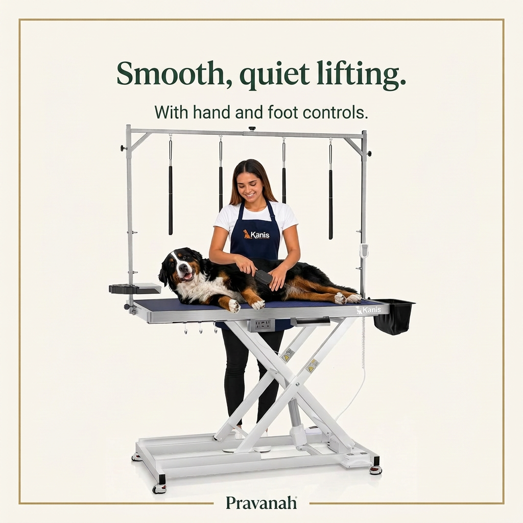 49-Inch Stainless Steel Electric Dog Grooming Table | 220-lb Lift Capacity
