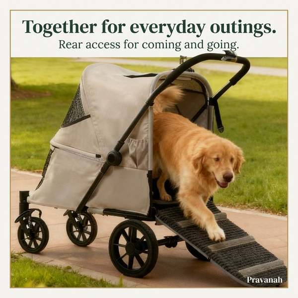 Foldable Covered Pet Stroller with Rear Access | 60 kg Capacity