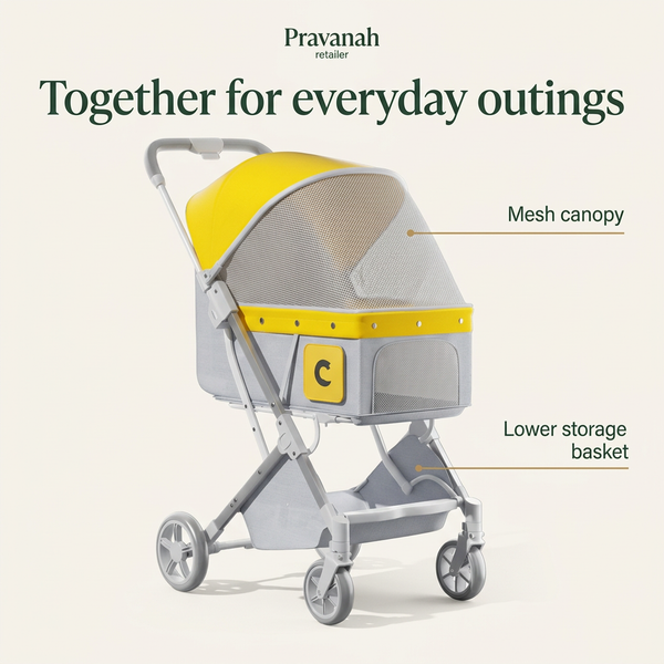 Foldable Pet Stroller with Mesh Canopy | Up to 25 lbs
